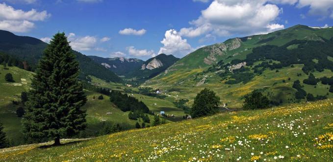 Черногорские полицейские спасли молодую косулю Окрестности Беране. Фото: Berane.montenegro.travel