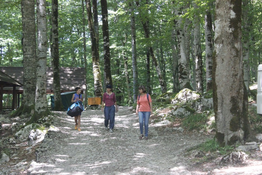 Национальный парк "Биоградска гора" в Черногории