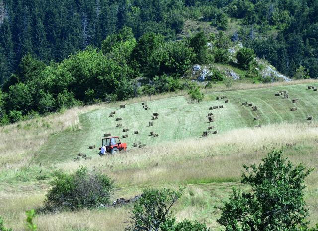 Лето на горе Златар