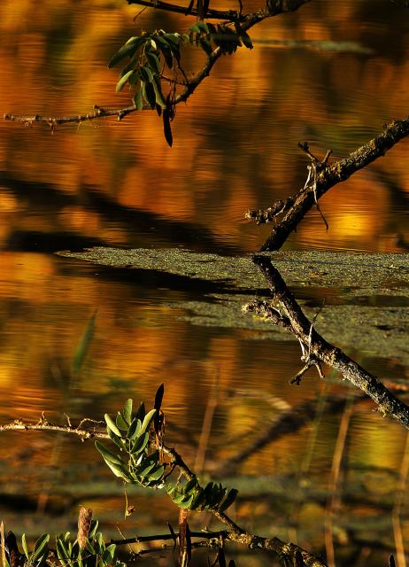 Ранняя осень в окрестностях Бачки-Моноштора