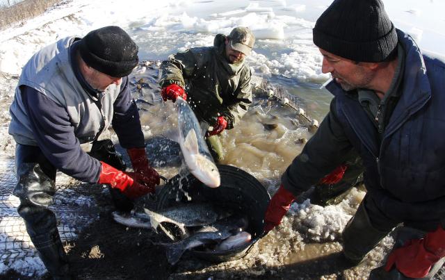 Зимняя рыбалка у русинов в Сербии