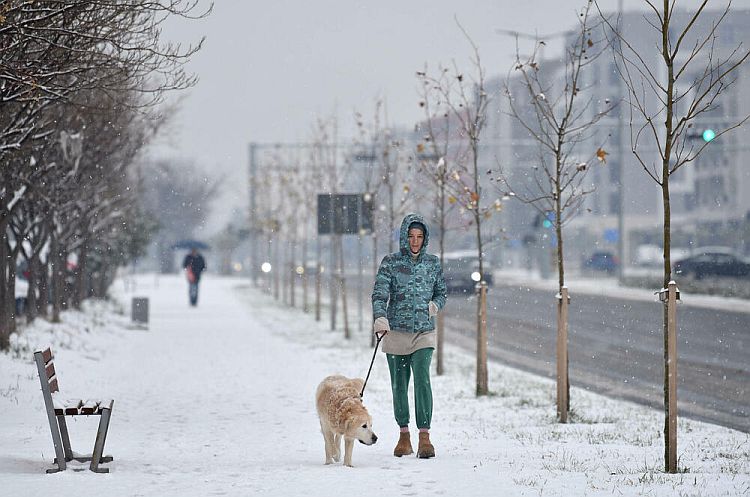 Снегопад в Подгорице в январе 2026 года