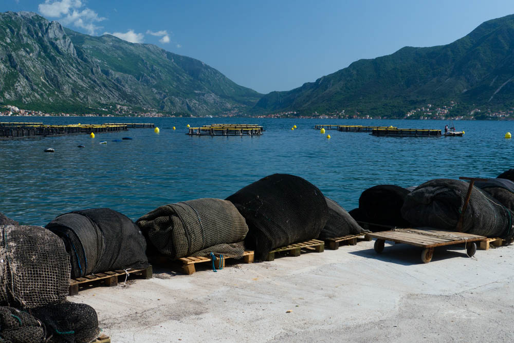 Рыбные фермы в Бока-Которском заливе в Черногории