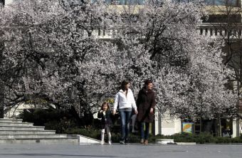 Солнечный день в сербском городе Нови-Сад