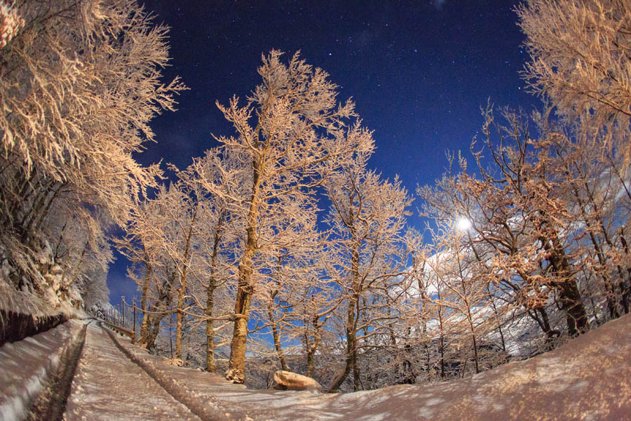 Снежная идиллия в горах Биоково