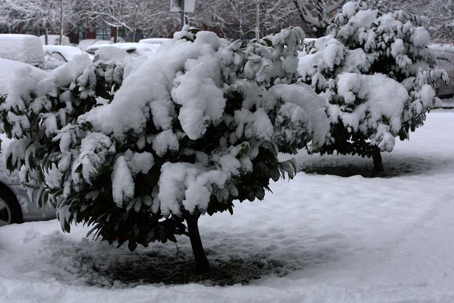 Снег в Загребе