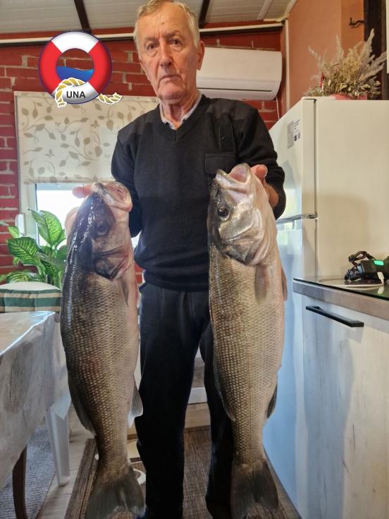 Фото: radiotivat.com