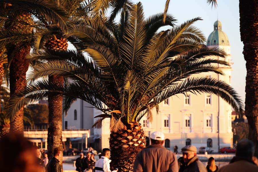 Декабрьский день в Сплите