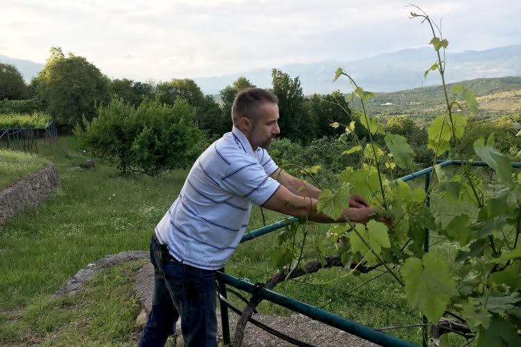 Директор музея вина и ракии Иван Секулич