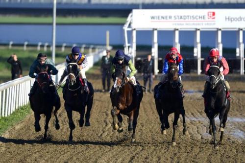 Закрытие сезона скачек в Белграде