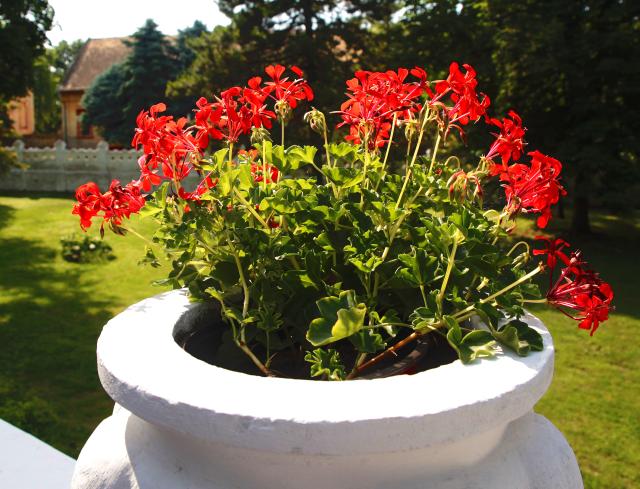 Дворец "Фантаст" в сербском Бечее