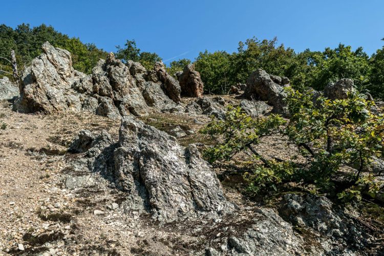 Национальный парк «Фрушка-Гора» осенью 2016 года