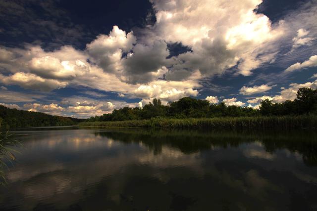 Лес в окрестностях сербского Бачки-Моноштора