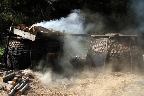 Производство древесного угля в Сербии