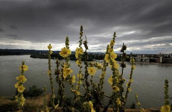 Дождливый и облачный день в сербском Нови-Саде
