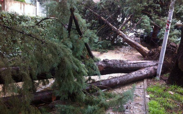 Последствия урагана на побережье Черногории