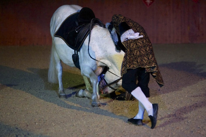 Поклон лошади на балу. Фото: Vlado Kos, Cropix