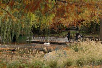 Дунавский парк в Нови-Саде