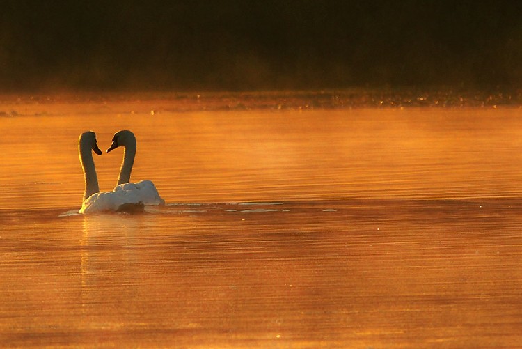 Уик-энд на Дунае в августе 2016 года