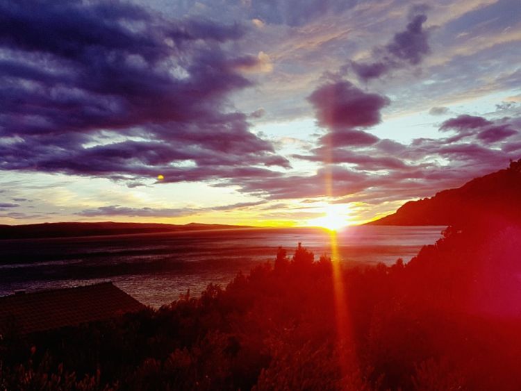 Брела в сентябре 2016 года