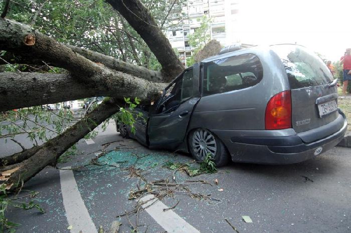 Последствия урагана в Загребе
