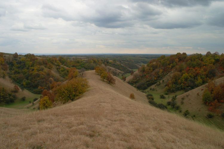 Окрестности сербского города Бела-Црква