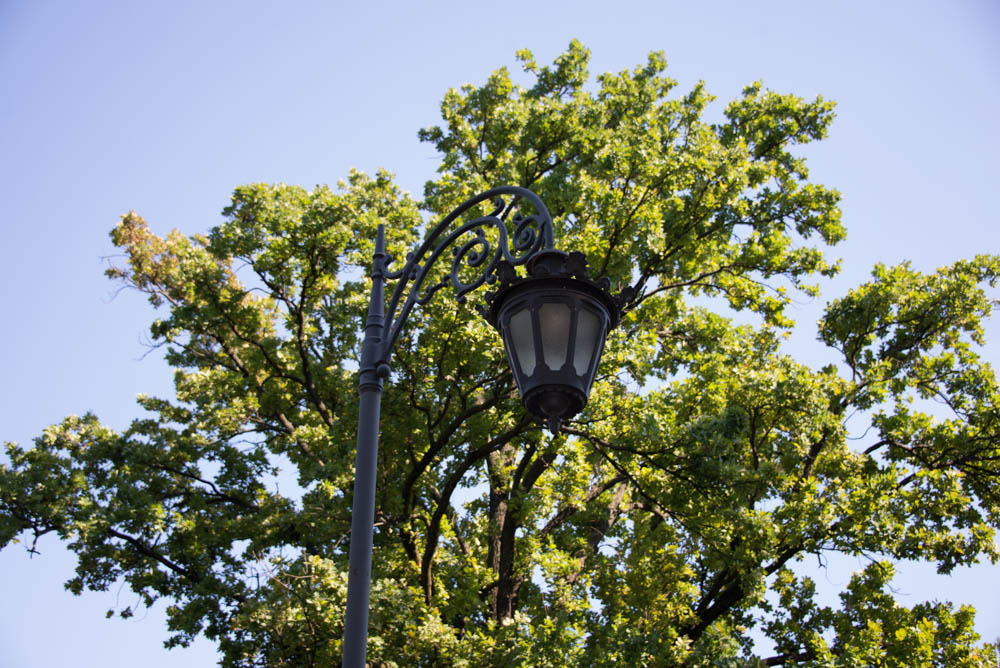 Дунавский парк в сербском Нови-Саде