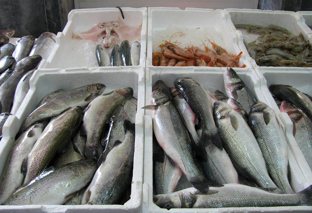Рыбные фермы в Бока-Которском заливе в Черногории
