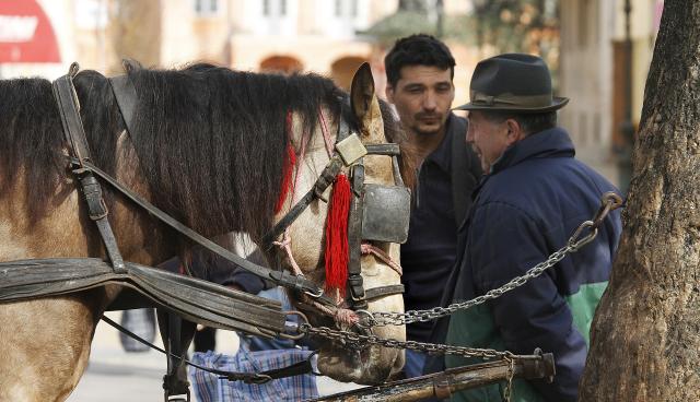 Теплый и красивый день в сербском Сомборе