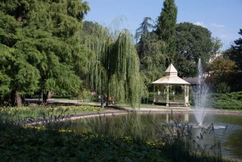 Дунавский парк в сербском Нови-Саде