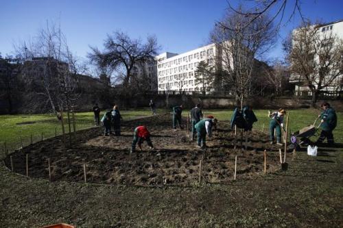 Высадка роз в память о жертвах резни 1942 г. в Нови-Саде
