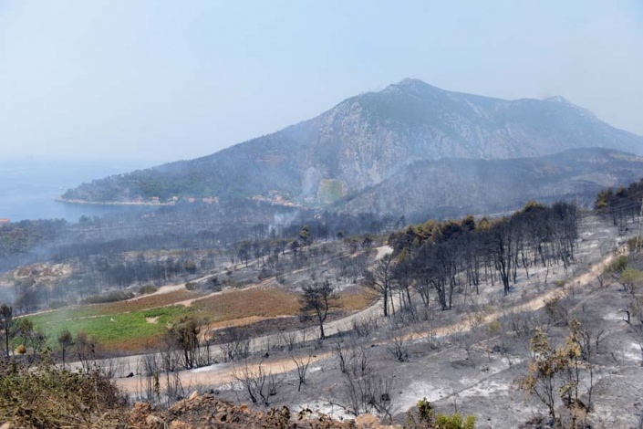 Пожар на полуострове Пелешац в Хорватии