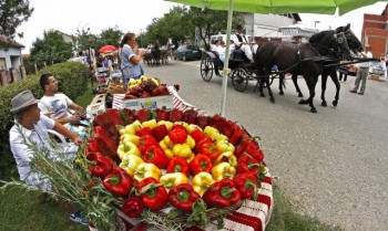 Дни перца в центре русинов Руски-Крстур