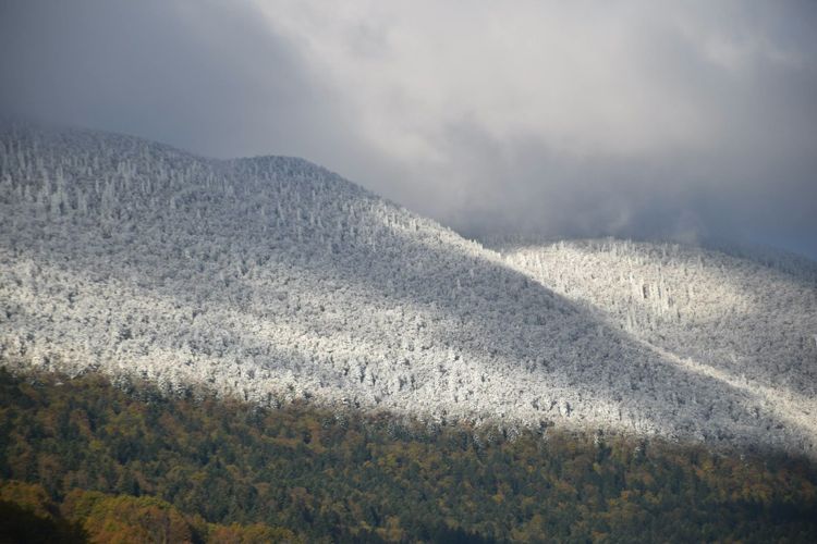 Первый снег в национальном парке «Северный Велебит»