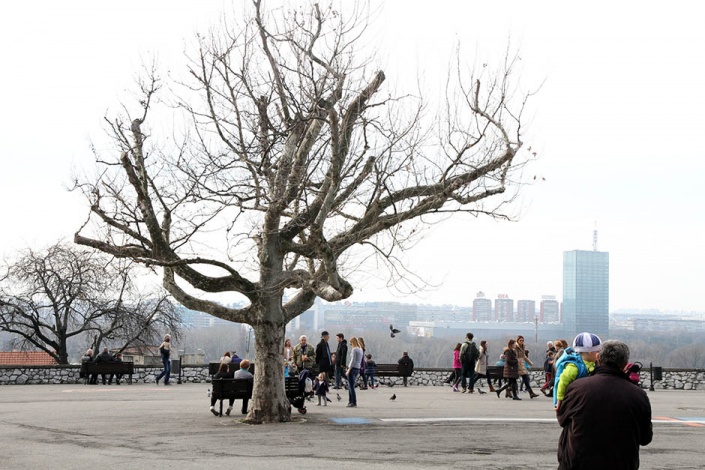 Февраль 2016 г. в Белграде