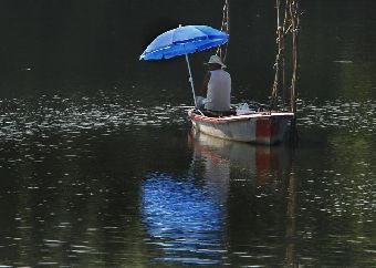 Жаркий день в Нови-Саде