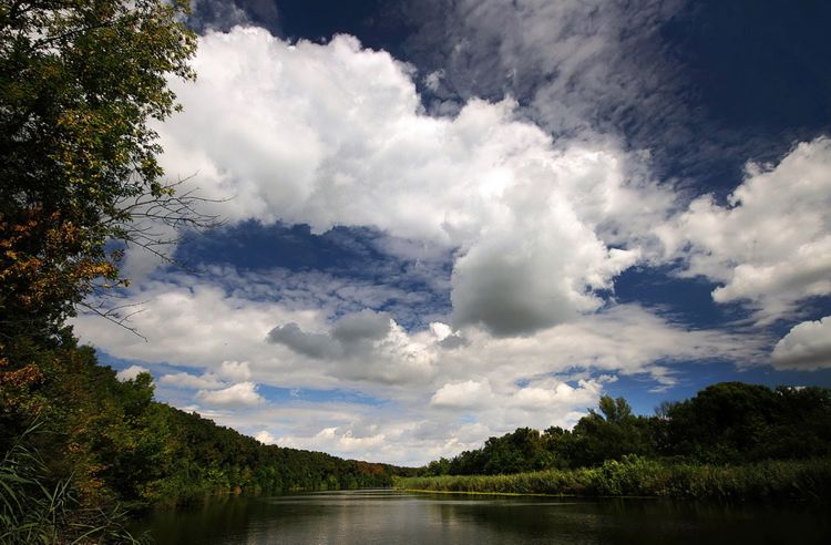 Большой Бачский канал в сентябре 2016 года