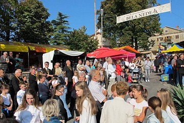 Фестиваль вина и народных традиций пройдет в хорватском Каставе в начале октября