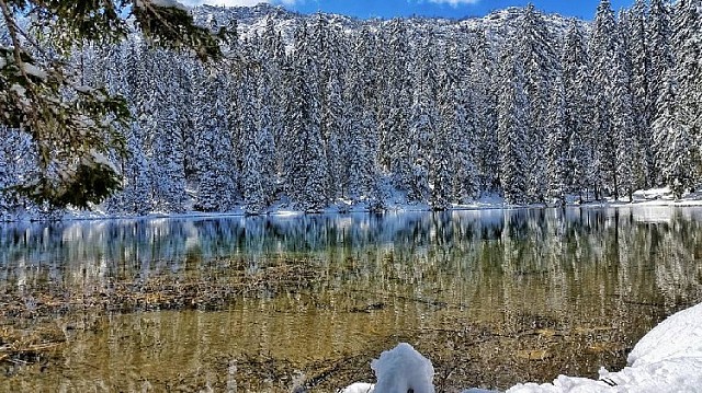 Черное озеро в Черногории. Фото: Facebook, Duško Raketić