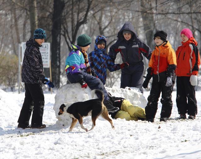 Солнечный зимний день в сербском Нови-Саде