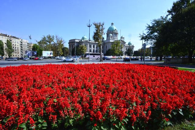 Белград в солнечный день