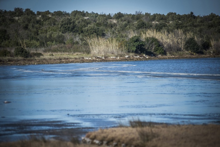 Бухта Макирина на острове Муртер
