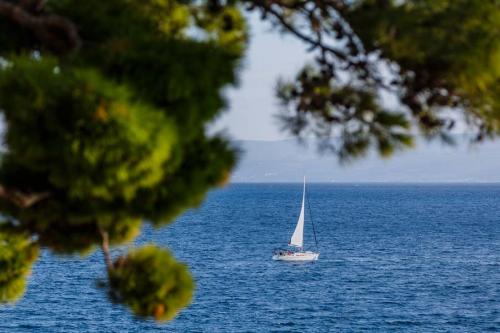 Солнечное воскресенье в Сплите