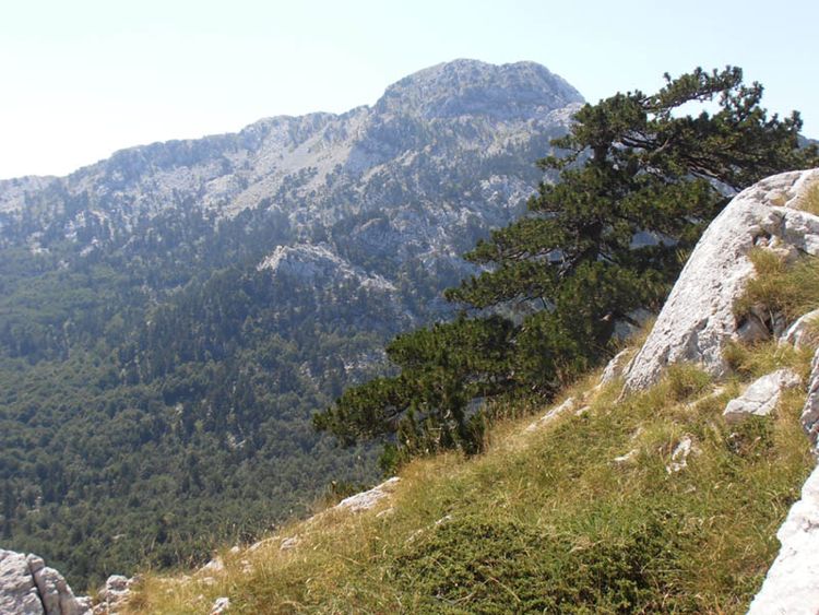 Гора Орьен у Херцег-Нови на границе с Боснией и Герцеговиной