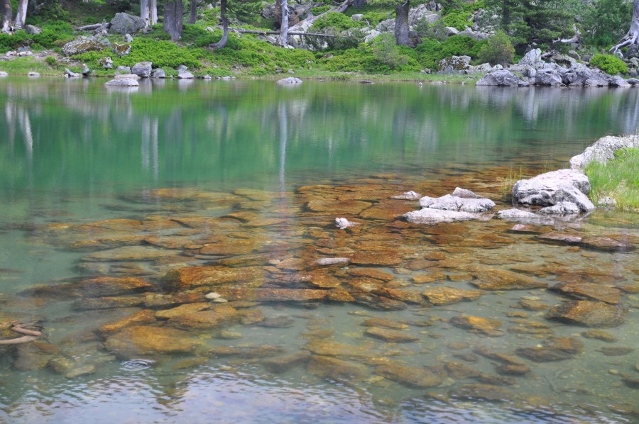 Хридское озеро в Черногории