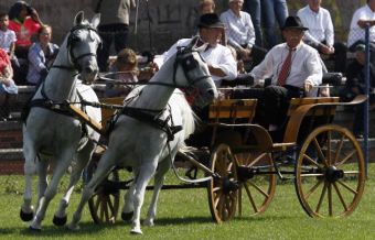 Фестиваль возниц в сербском Нови-Саде