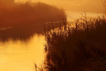 Канал Дунай - Тиса - Дунай вблизи Нови-Сада