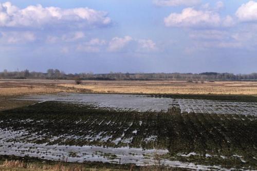 Поля в окрестностях Нови-Кнежеваца