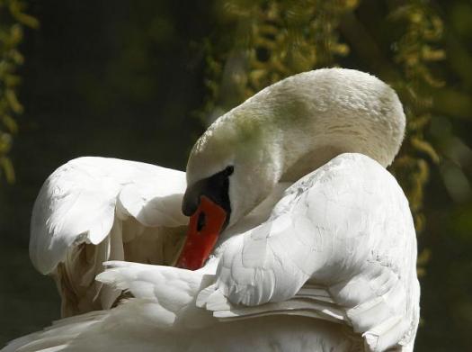 Солнечный день в Нови-Саде