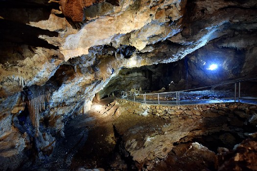 Липская пещера в Черногории. Фото: Lipa-cave.me